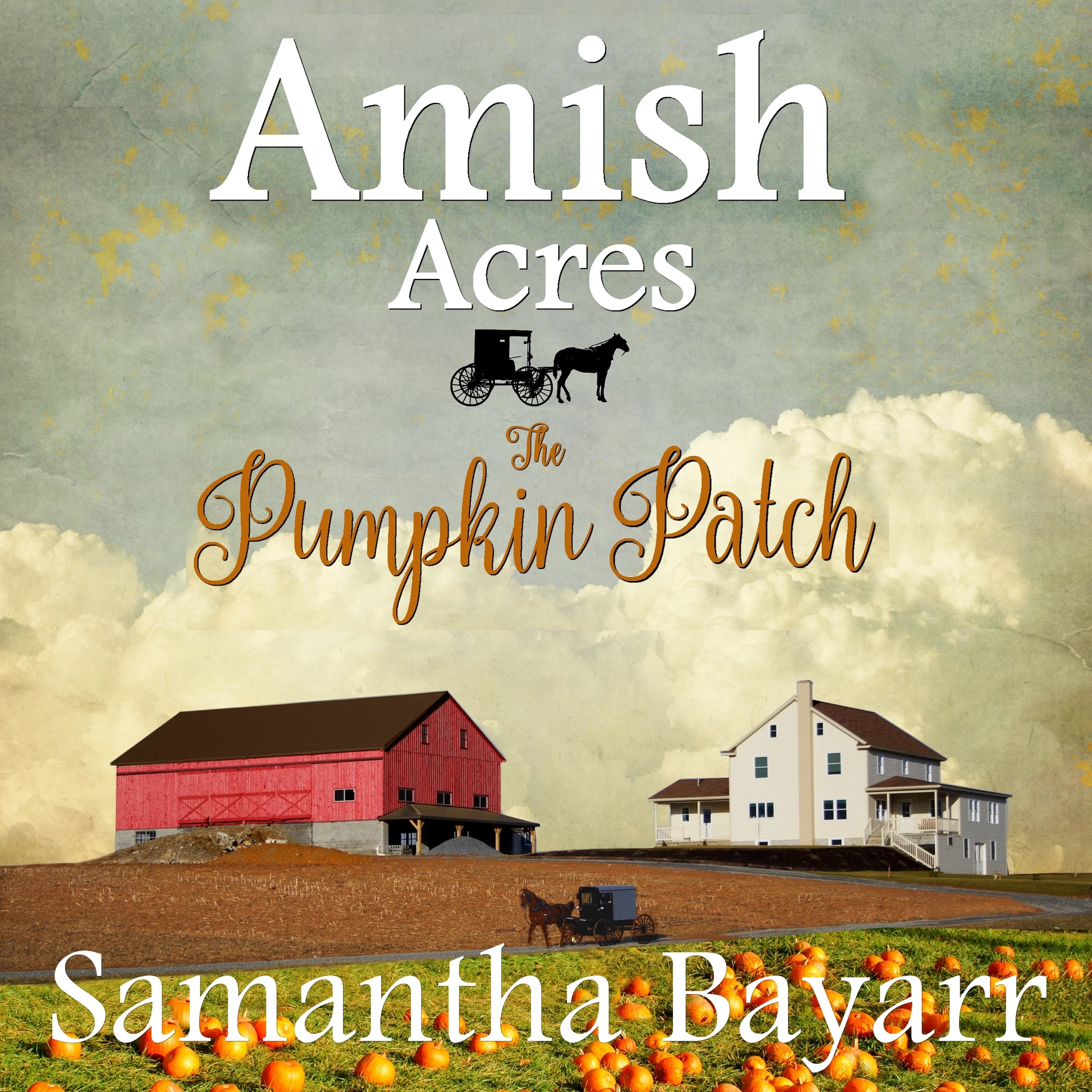 Amish Acres Pumpkin Patch ACX